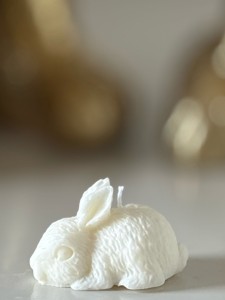 IMG_4916.jpeg